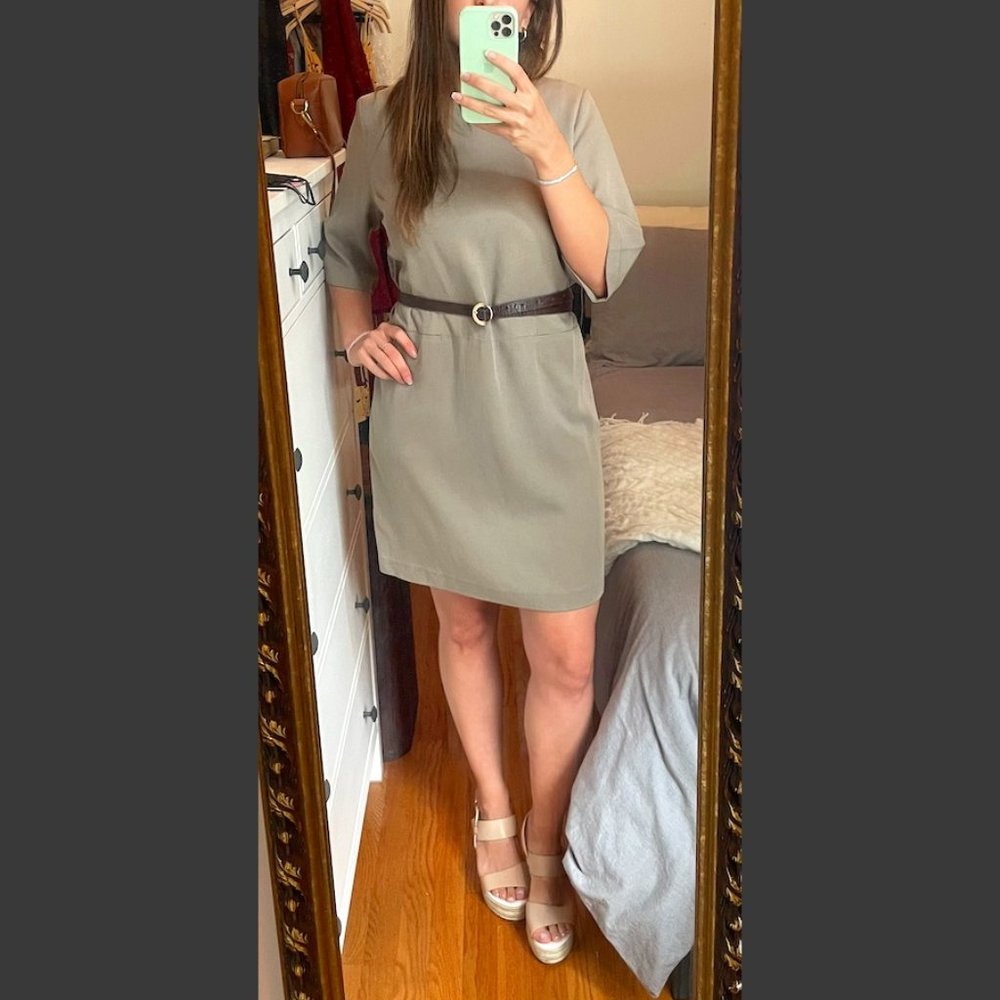 NWOT Aritzia Babaton 100% Silk Beige Dress